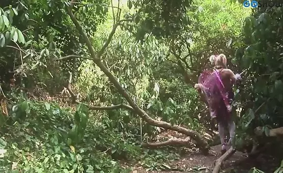Bi Fairy Girls Enjoy Erotic Outdoor Action