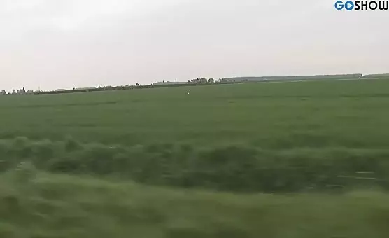 Blowjob Queen Deep Throats Them